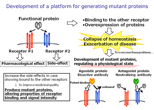 Development of a platform for generating mutant proteins