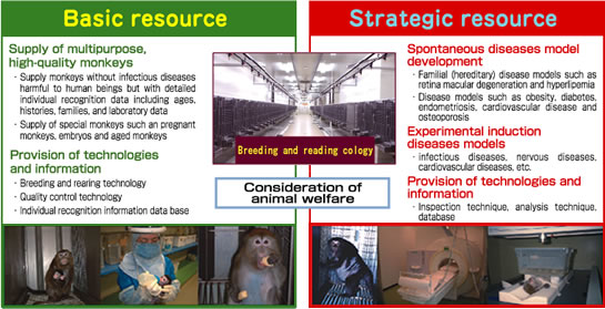 Mission 1：Research resources development and supply of monkeys